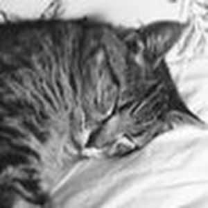 Meet your Posher, Mia